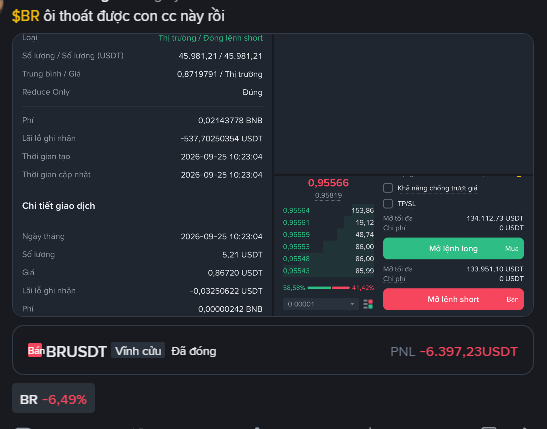 A cryptocurrency trading interface in Vietnamese showing a short position on BR/USDT with a PNL of -6,397.23 USDT, down -6.49%, including order details and a candlestick chart.