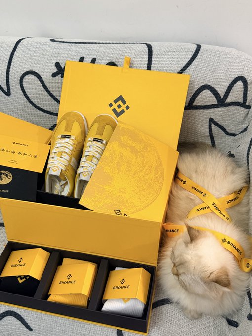 A Binance merchandise gift set including yellow and white sneakers, a yellow drawstring bag, and small boxes, displayed next to a sleeping cat wearing a Binance lanyard.