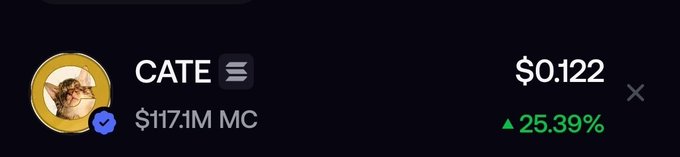 A crypto token display showing 'CATE' with a cat avatar, a market cap of $117.1M, a price of $0.122, and a 24-hour change of +25.39% in green.