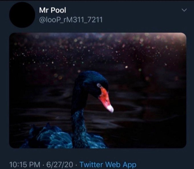 A tweet from "Mr Pool" (@_looP_rM311_7211) posted on 6/27/20 at 10:15 PM features a dark, cinematic image of a black swan with a striking orange beak floating on water against a starry night sky. The black swan serves as a visual metaphor for the financial post's discussion of an impending "black swan" event, with the user speculating that XRP could emerge as the solution when such a market-disrupting crisis occurs.