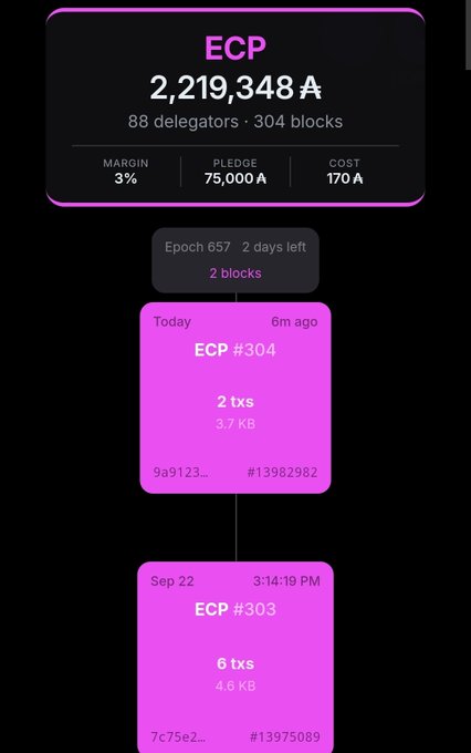 A screenshot of an ECP (Ethereum Coin Pool?) dashboard showing 2,219,348 A with 88 delegators, 304 blocks, 3% margin, 75,000 A pledge, and 170 A cost, listing recent epochs like ECP #304 (2 txs, 3.7 KB) and ECP #303 (6 txs, 4.6 KB).