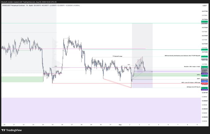 A 1-hour candlestick chart of DOGE/USDT Perpetual Contract showing price action trading around 0.05970-0.05975, with technical analysis annotations including "BOZ and Bosely distribution price behavior," "Median + W3 = major re-tests," and "OB" order block zones marked across early August 2024.