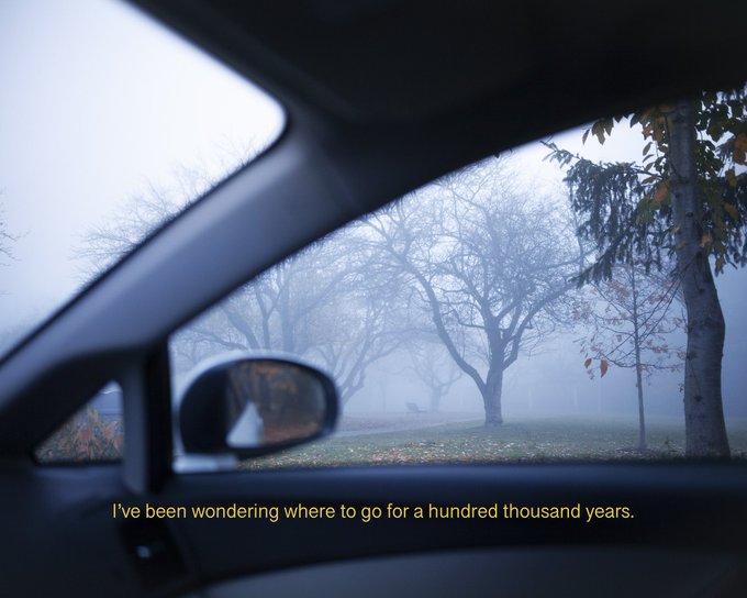 A foggy, atmospheric view from inside a car looking out at bare trees in a misty park, overlaid with the text "I've been wondering where to go for a hundred thousand years." The melancholic, contemplative mood matches the reflective tone of the quote, evoking themes of journey and uncertainty.