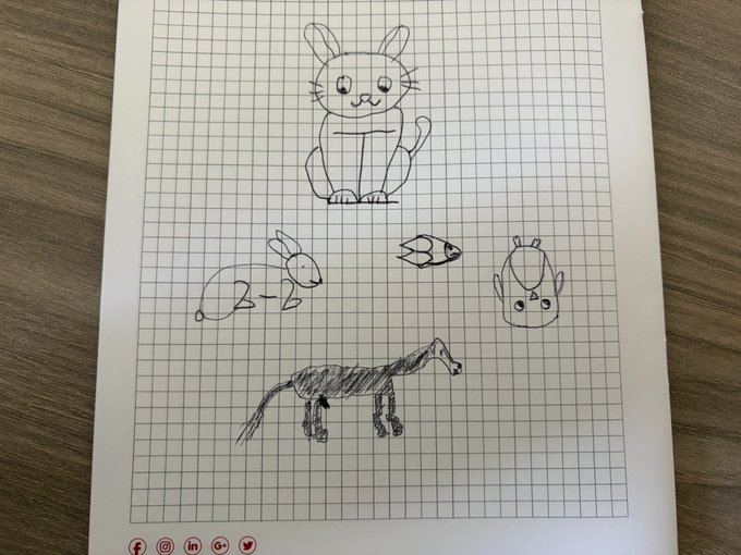 A hand-drawn sketch on grid paper featuring a cartoon cat, a rabbit, a fish, another small cat, and a horse.