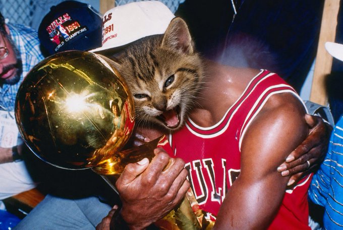 Michael Jordan in a red Bulls jersey holding the NBA championship trophy, while a tabby cat appears to be licking his face during the celebration.