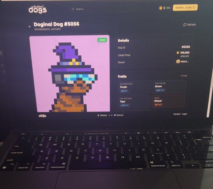 The image shows a laptop screen displaying a webpage about a digital artwork, possibly a pixel art piece featuring a brown dog wearing glasses. The website has a search bar at the top of the page, suggesting that users can find more information or even purchase this particular artwork. The post on @doginaldogs seems to be garnering attention as it is shared by multiple people in various social media platforms. This indicates that the artwork might have caught the interest of many viewers and could potentially be a valuable piece for collectors or enthusiasts.