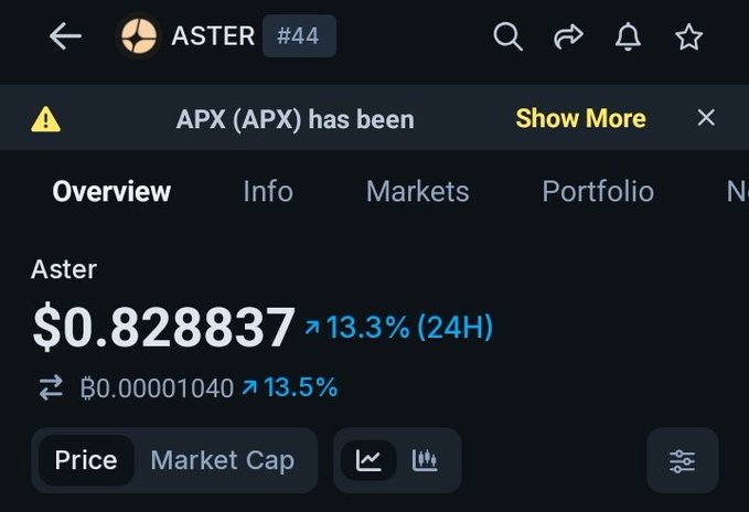 The screenshot displays the Aster (#44) cryptocurrency overview page showing a current price of $0.828837, up 13.3% in the last 24 hours. This visual aligns with the post's sentiment, illustrating the impressive gain from the poster's $0.48 purchase price, suggesting their long-term investment decision is paying off.