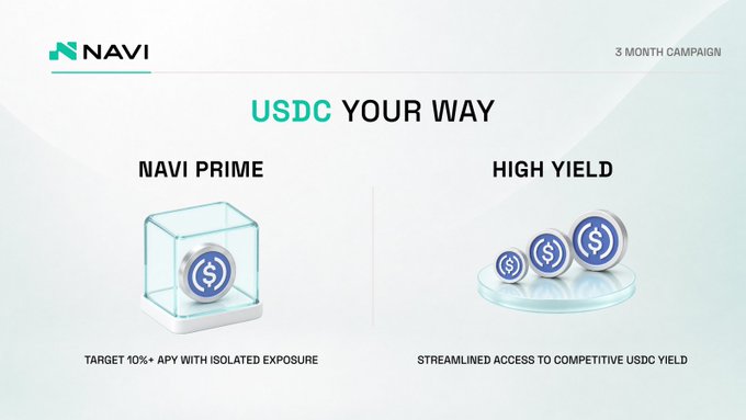 A NAVI promotional graphic titled 'USDC YOUR WAY' presenting two 3-month campaign options: 'NAVI PRIME' targeting 10%+ APY with isolated exposure, and 'HIGH YIELD' for streamlined access to competitive USDC yield.