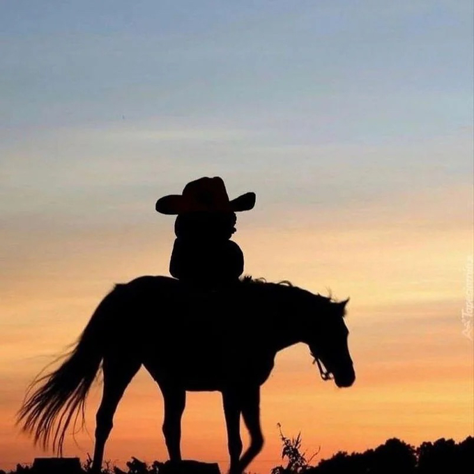 A silhouette of a child wearing a cowboy hat sitting on a horse against a warm orange sunset sky.