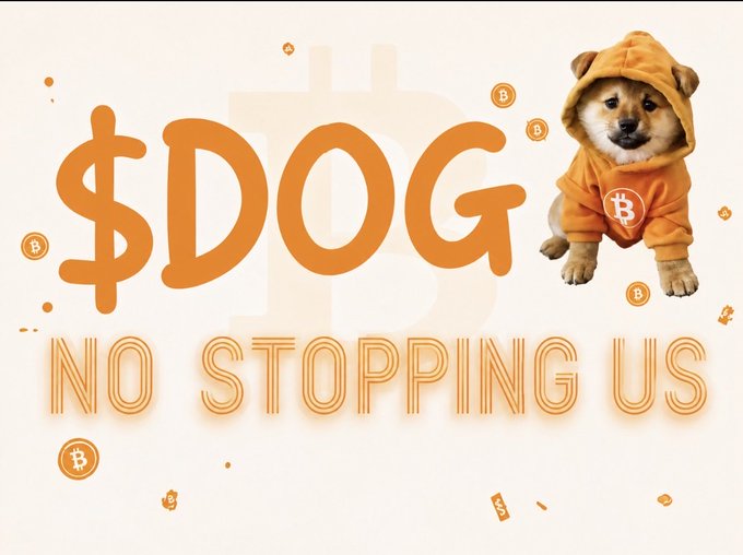A promotional graphic featuring a dog in an orange Bitcoin hoodie next to the text '$DOG' and 'NO STOPPING US' with Bitcoin coin icons.