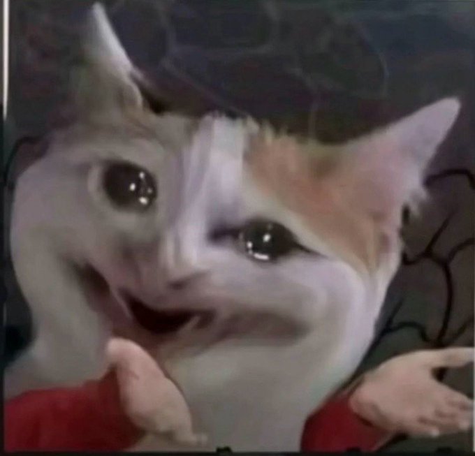 A crying cat meme with human-like hands, teary eyes, and an open mouth conveys distress and despair, visually mirroring the post's lamentation about a difficult year, missed financial opportunities, unemployment, and the anxiety of aging with no relief in sight.