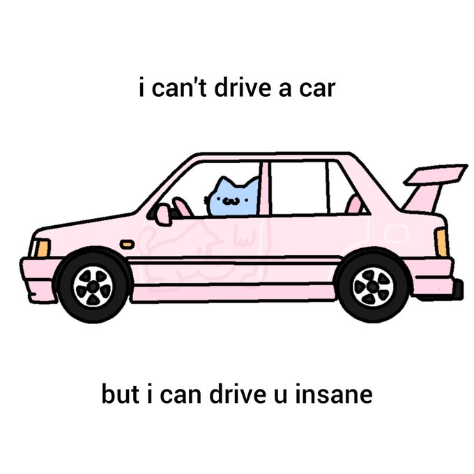 A cute cartoon image features a blue cat driving a pink car with the text "i can't drive a car" at the top and "but i can drive u insane" at the bottom.