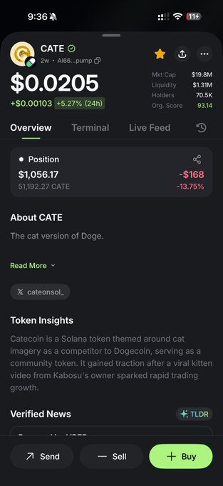 A mobile trading app screenshot shows the CATE token at $0.0205, up 5.27% in 24 hours, with the user's position showing a $1,056.17 holding ($168 loss) and 1,192.27 CATE tokens—reflecting the poster's doubled-down investment in the Solana-based "cat version of Doge" meme coin.