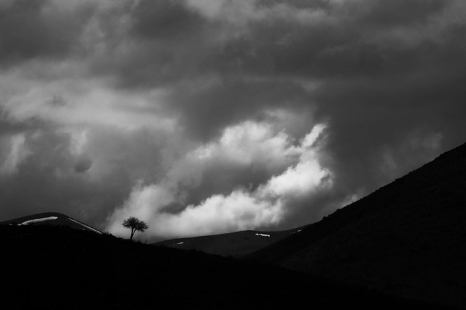 A solitary tree stands silhouetted against a dramatic, stormy sky with billowing dark clouds and patches of light, perfectly capturing the ominous "storm" moment referenced in the post, while the #tezos tag connects this raw natural scene to the Tezos blockchain community's atmospheric photography share.