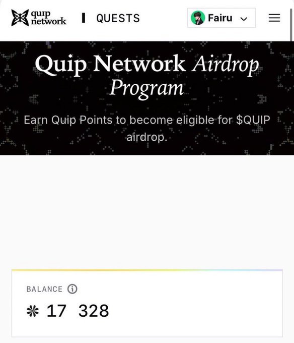A screenshot of the Quip Network Airdrop Program dashboard showing a balance of 17,328 Quip Points, which the user references when evaluating whether their current point total is sufficient for the WL auction.