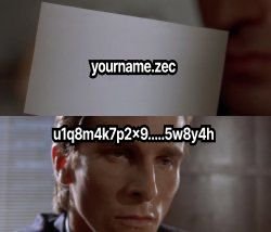 A split-screen meme showing a blurred face with the text 'yourname.zec' and actor Matthew McConaughey with a suspicious expression, accompanied by the alphanumeric text 'u1q8m4k7p2x9.....5w8y4h'.