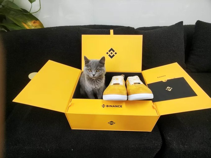 A gray cat sits inside a yellow Binance-branded box alongside a pair of yellow and white sneakers, placed on a dark couch.
