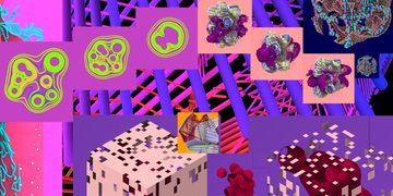 An abstract glitch-art collage features neon purple paw prints, fragmented shapes, and digital distortion patterns.