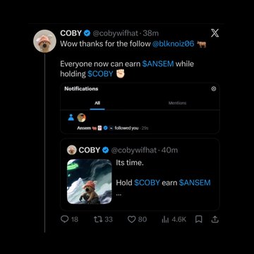 A screenshot of an X (Twitter) post by @cobyyiwthat reading "Wow thanks for the follow @blknnoiz06 🐄" and "Everyone now can earn $ANSEM while holding $COBY 🎁", alongside a follow-up post showing a small-cap chart with "Its time. Hold $COBY earn $ANSEM" — directly illustrating the connection that $COBY on Solana gained traction after Ansem followed the project. The post has 18 comments, 33 reposts, 80 likes, and 4.6K views.