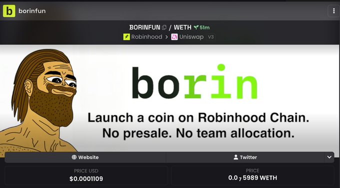 Memecoin website for 'borin' (ticker BORINFUN) on Robinhood/Uniswap v3, featuring a meme illustration of a caveman-like character and the tagline 'Launch a coin on Robinhood Chain. No presale. No team allocation.'