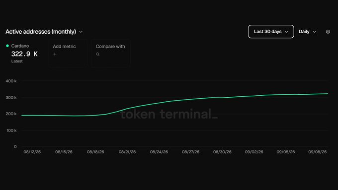 A Token Terminal analytics dashboard displays Cardano's monthly active addresses metric at 322.9K, featuring a green line chart showing growth from approximately 200K to over 300K over a 30-day period from 08/12/26 to 09/08/26.