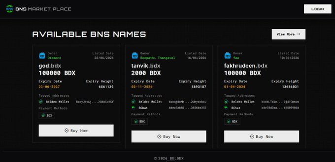 The BNS Market Place displays available Beldex Name Service (BNS) names for sale, with listings like "god.bdx" (1000000 BDX), "tanvik.bdx" (2000 BDX), and "fakhrudeen.bdx" (1000000 BDX), each showing owner details, expiry dates, and tagged addresses. The screenshot illustrates how users can buy simple, memorable names (e.g., "god.bdx") instead of using long crypto addresses for payments, supporting the post's message about BNS simplifying cryptocurrency transactions.