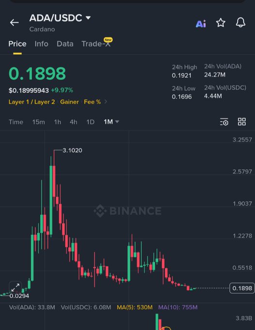 A Binance trading chart for ADA/USDC on Cardano showing a current price of 0.1898 (+9.97%), with a 1-month candlestick view displaying a peak at 3.1020.
