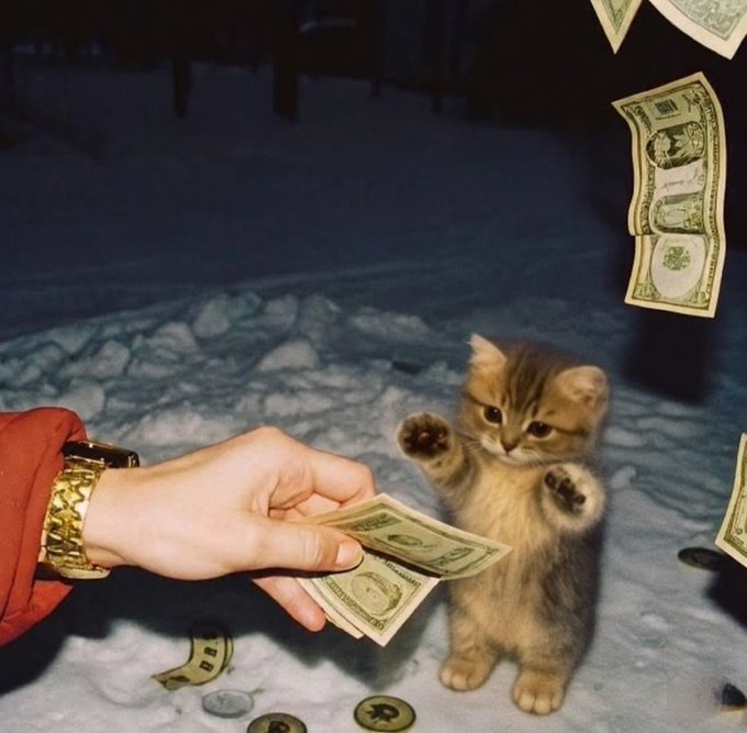A meme image showing a hand in a gold watch holding out two dollar bills to an angry-looking kitten standing on its hind legs, with money falling from above.