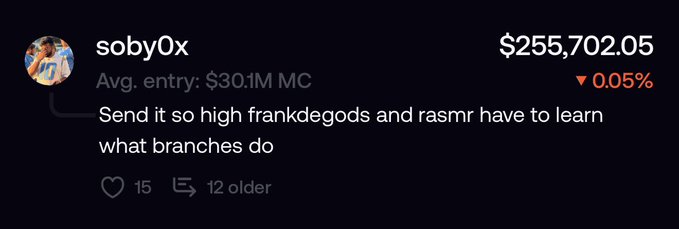 A screenshot of a social media post by user "soby0x" showing a portfolio value of $255,702.05 with a -0.05% change and an average entry of $30.1M MC, with a comment reading "Send it so high frankdegods and rasmr have to learn what branches do" — referencing the user's bullish thesis on Standard RSV that inspired others to buy in.