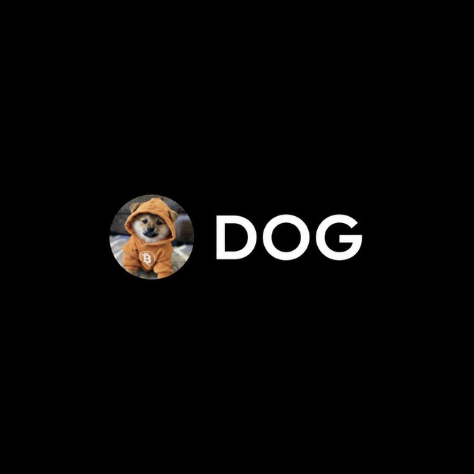 Logo featuring a Shiba Inu dog wearing an orange hoodie with the Bitcoin symbol, next to the text 'DOG' on a black background.