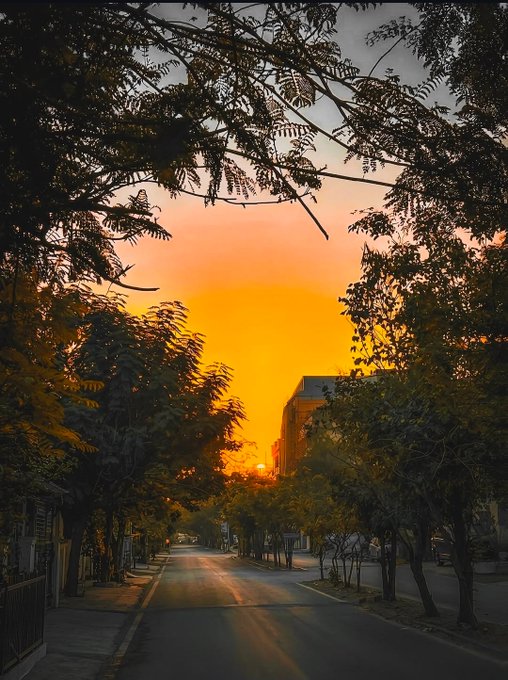 A scenic sunset view down a tree-lined street, framed by silhouetted branches overhead with the sun glowing bright orange near the horizon.