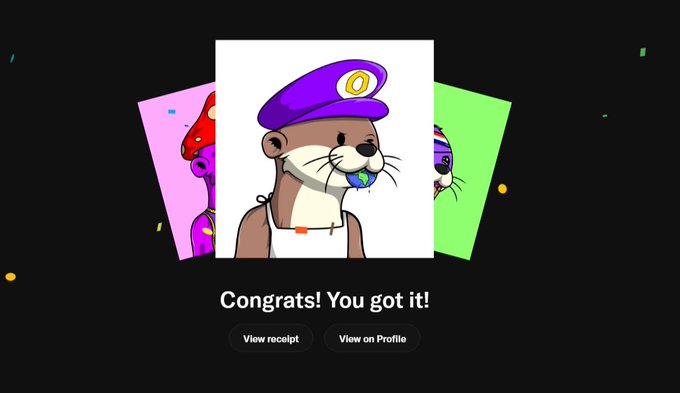 A confirmation screen reading "Congrats! You got it!" with "View receipt" and "View on Profile" buttons, displaying a cartoon NFT of an otter wearing a purple captain's hat and a blue pacifier.