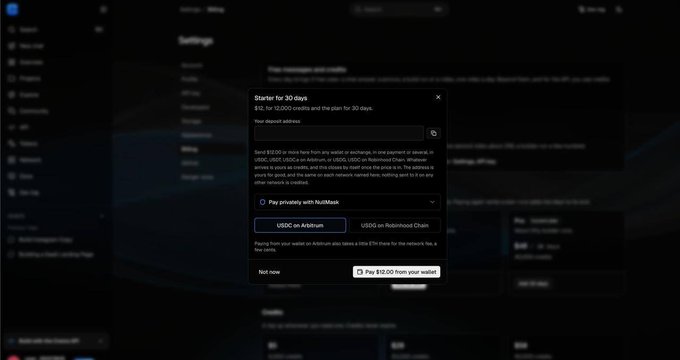 A popup window on the Creora platform displays a "Starter for 30 days" plan offering $10 and 10,000 credits, with payment options including "Pay privately with NullMask" and "USDC on Arbitrum" / "USDC on Robinhood Chain." This illustrates the integration of NullMask for private USDT payments on Ethereum, as highlighted in the accompanying post about Creora's privacy upgrade.