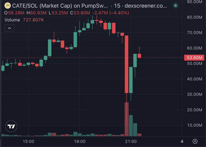 What would the French Revolution look like on a candlestick chart?  Wild speculation frenzy on PumpSw... French Revolution on PumpSw, "Vive le Pump".  "This must be what the French Revolution feels like." - Exactly like a wild frenzy.