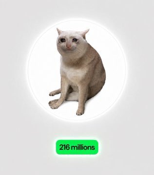 A cat with an awkward smile sits inside a white circle on a gray background, with a green label below reading '216 millions'.