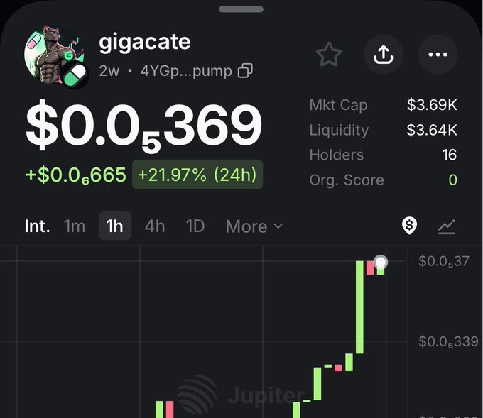 A screenshot from Jupiter showing the meme coin "gigacate" ($0.0₅369) trading with a $3.69K market cap and +21.97% gain over 24h, reinforcing the poster's bullish push to promote the token.