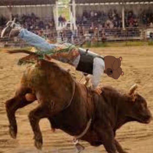A rodeo photo of a cowboy riding a bucking bronco, with a small cartoon bear face sticker edited over the rider's head.