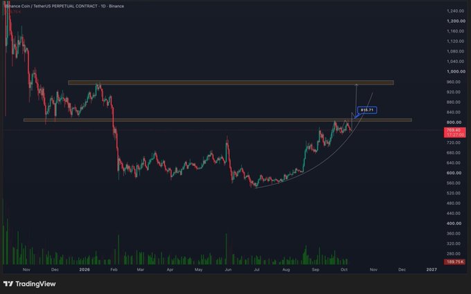 The image shows a Binance Coin (BNB) perpetual contract daily chart on TradingView, with price currently at 818.71, testing the highlighted resistance zone between $800-$815, while the post suggests a breakout above this barrier could propel BNB toward its next major target of $960.