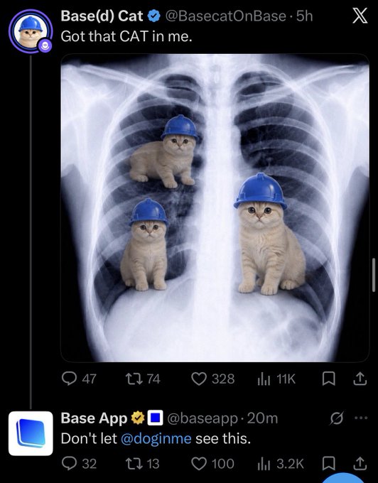A social media post by 'Base(d) Cat' (@BasecatOnBase) showing an X-ray with three kittens wearing blue hard hats inside the ribcage, captioned 'Got that CAT in me.', with a reply from Base App saying 'Don't let @doginme see this.'