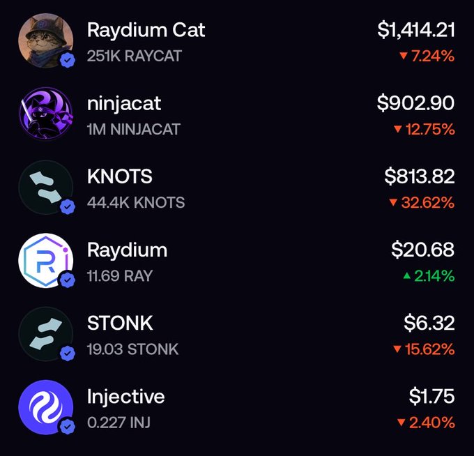 A cryptocurrency portfolio showing Raydium Cat ($1,414.21, -7.24%), ninjacat ($902.90, -12.75%), KNOTS ($813.82, -32.62%), Raydium ($20.68, +2.14%), STONK ($6.32, -15.62%), and Injective ($1.75, -2.40%).
