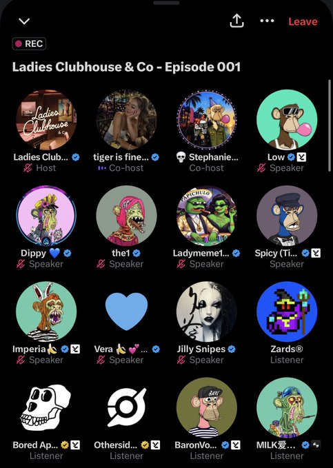 The image shows a list of various people's names displayed on a phone screen, with each person represented by an icon or picture. The icons include a skull, a heart, and a banana. The text accompanying the images reads " Queens in BAYC community", which suggests that this is a social media platform dedicated to connecting with others who share similar interests. The post encourages users to create a welcoming environment for everyone and promotes equality within the community by highlighting the diverse names of its members.
