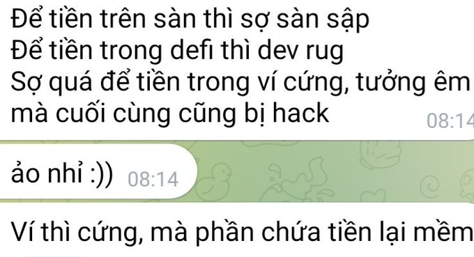 A Vietnamese chat conversation screenshot showing messages at 08:14 discussing crypto security concerns, with the user lamenting that even hardware wallets can be hacked, questioning where to safely store funds.