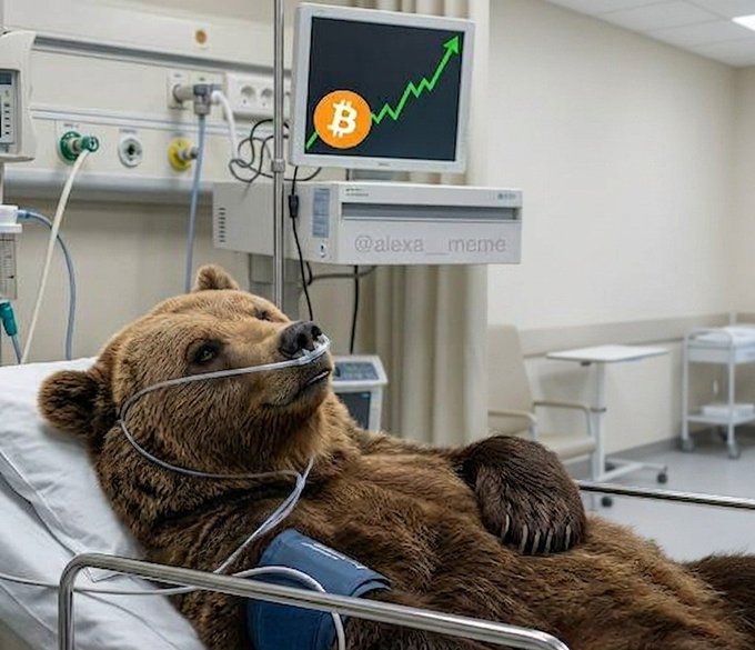 A meme featuring a brown bear lying in a hospital bed with medical equipment and a blood pressure cuff, while a monitor displays a Bitcoin logo with a rising green arrow indicating a price surge.