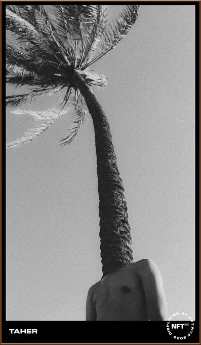 A surreal black-and-white artistic photograph shows a shirtless figure whose neck is replaced by a palm tree trunk extending upward to fronds, labeled "TAHER" and "NFT CAMERA PROOF" at the bottom.