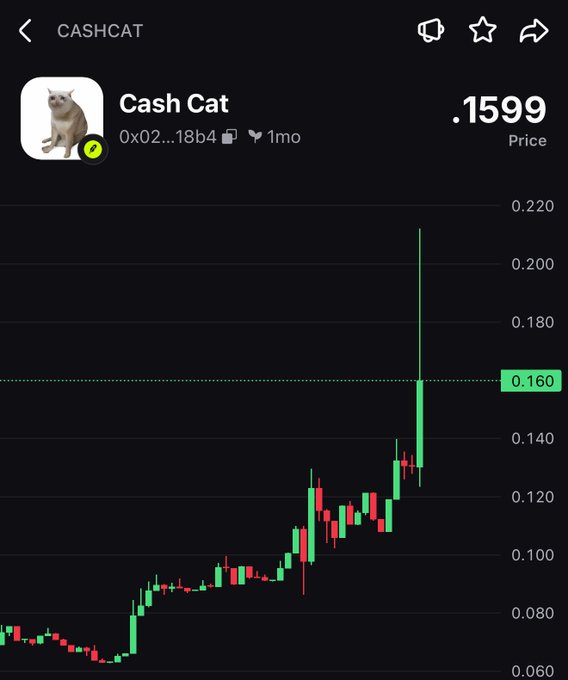 A trading chart shows Cash Cat ($CASHCAT) at a price of .1599, with a sharp green candlestick spike reaching toward .210 just one month after its 0x02...18b4 contract address launch, illustrating the post's frustration at missing the token's sudden pump.
