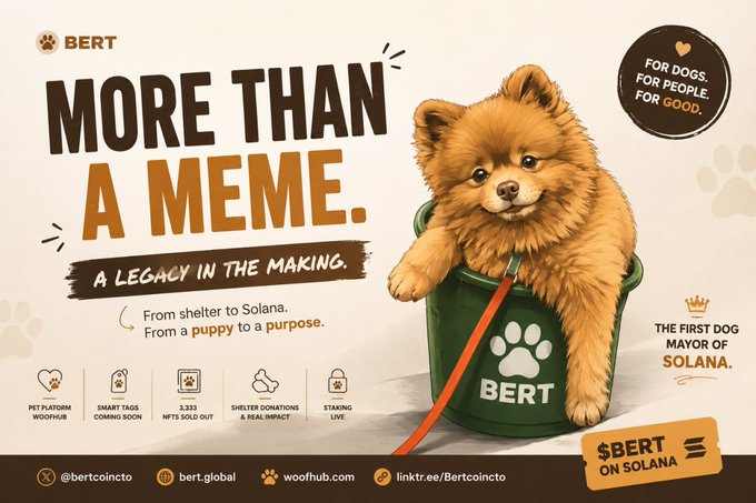 Promotional graphic for $BERT, a Solana-based cryptocurrency project featuring a Pomeranian puppy in a bucket, with text including 'MORE THAN A MEME', 'A LEGACY IN THE MAKING', 'THE FIRST DOG MAYOR OF SOLANA', and links like woofhub.com.