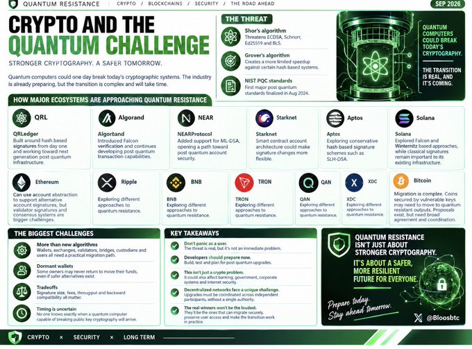 An infographic titled 'CRYPTO AND THE QUANTUM CHALLENGE' explaining quantum resistance in cryptography, detailing how major ecosystems (QRL, Algorand, NEAR, Starnet, Aptos, Solana, Ethereum, Ripple, BNB, TRON, QAN, XDC, Bitcoin) are tackling the threat, along with key takeaways.