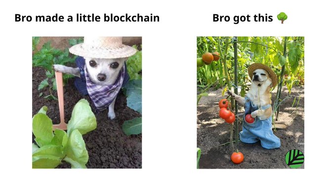 A two-panel meme showing a chihuahua dressed as a farmer with the captions 'Bro made a little blockchain' on the left and 'Bro got this' with a tree emoji on the right.