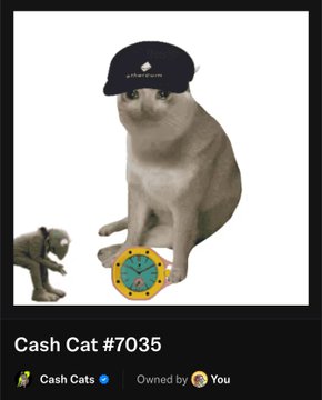 A gray cat wearing a dark blue cap sits next to a gold Bitcoin logo, with the text 'Cash Cat #7035' and 'Cash Cats' displayed below.