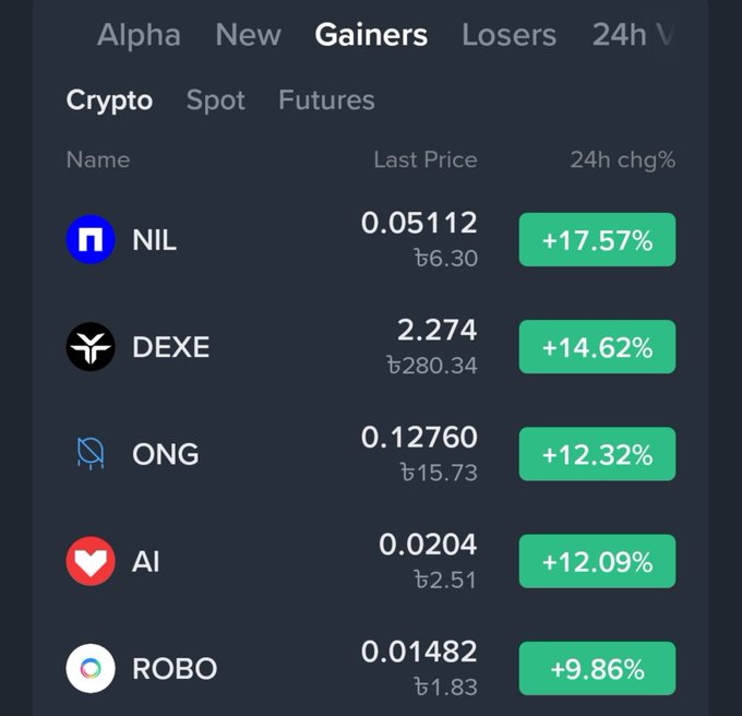 A cryptocurrency app screen displays the top 'Gainers' including NIL (+17.57%), DEXE (+14.62%), ONG (+12.32%), AI (+12.09%), and ROBO (+9.86%).